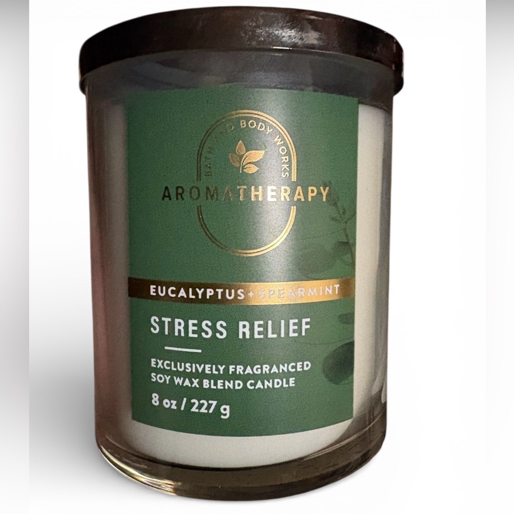 Bath & Body Works Aromatherapy Eucalyptus Spearmint Candle